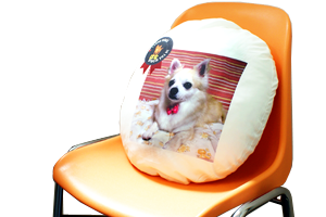 丸型クッション