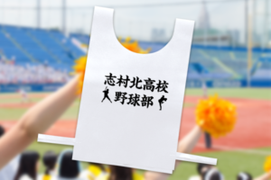 お揃いのビブスをつければ団結力もアップ!