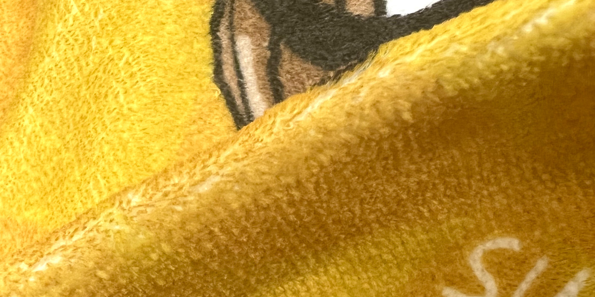 根本