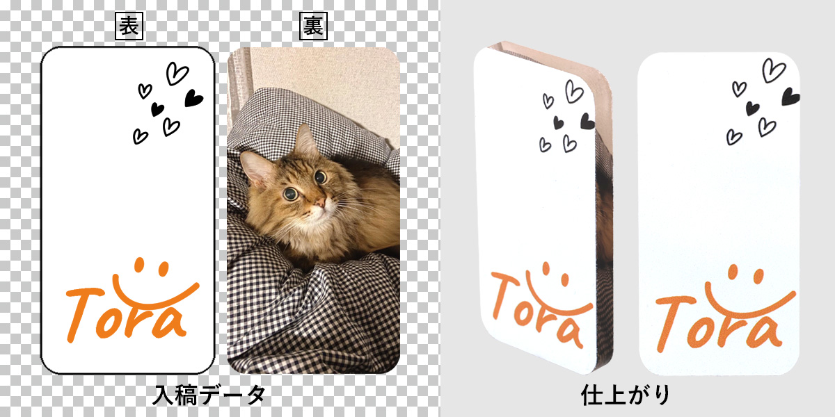 トラのサンプル失敗例