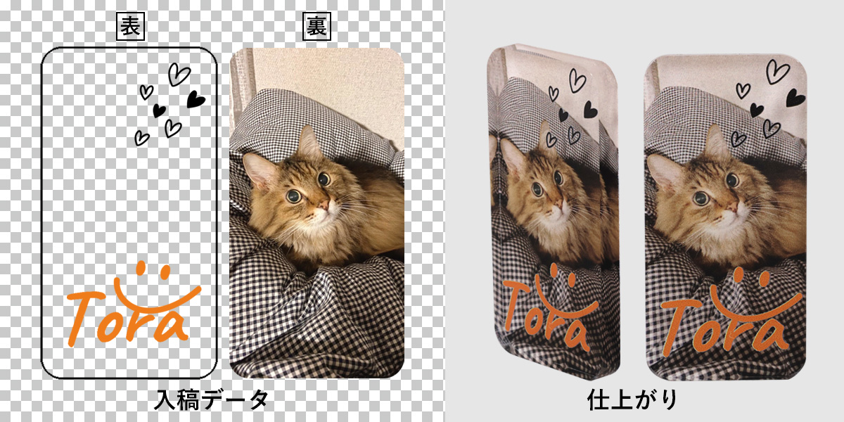 トラのサンプル成功例