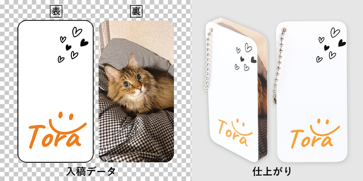 トラのサンプル失敗例