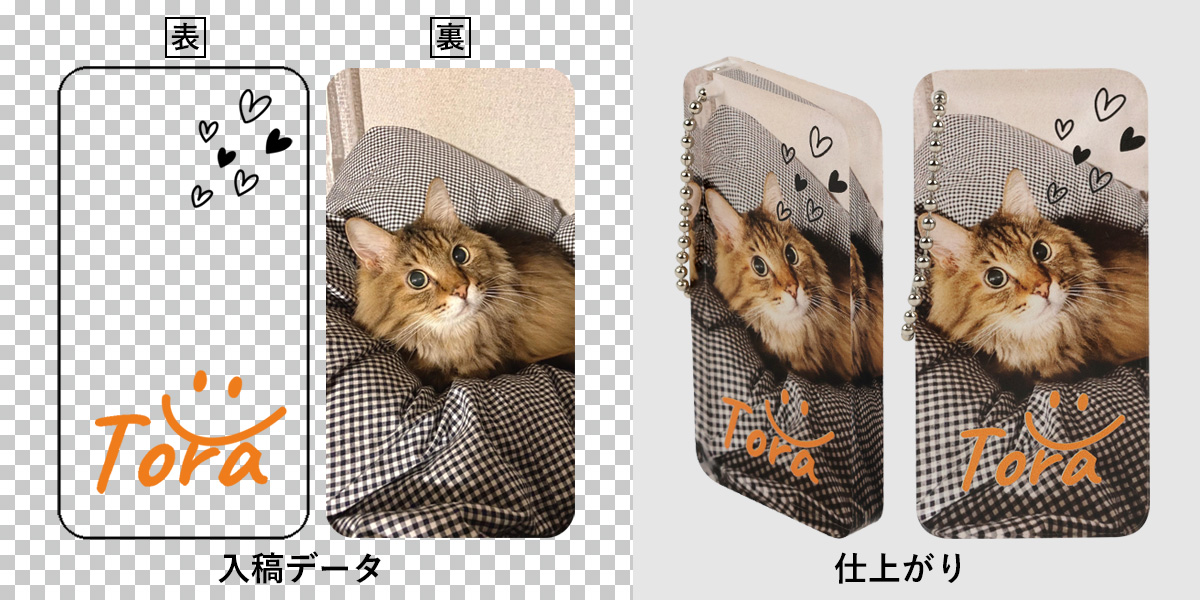トラのサンプル成功例