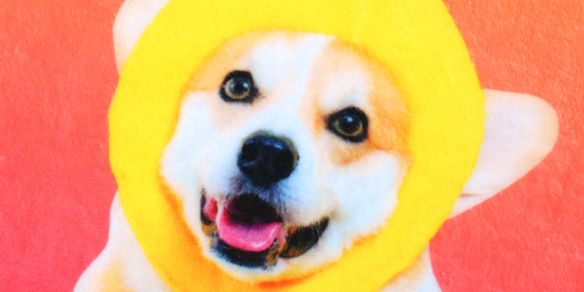 プリントアップ